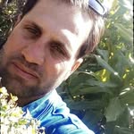 Hamid. Danehmandi - @hamid.danehmandi - Instagram
