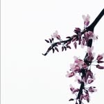 Dan Eich - @daneich10 - Instagram