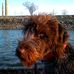 Dane Eichelberger - Facebook