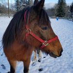Daniel Eisenman - @dan_e980 - Instagram