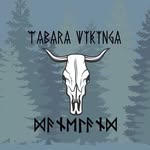 DANELAND Tabara Vikinga - @danelandviking - Instagram