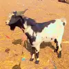 Dan Elder 90 - @dan.elder0 - TikTok