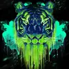 Elder76Dan - @elder76dan - TikTok