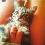 Данелькин Мурчик - @danelkin_murchik - Instagram