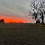 Dan Elkins - @delkins815 - Instagram