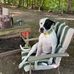 Dan Elkins - Facebook