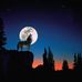 Dan Elkins - Facebook