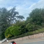 Dan elkins - @dan_elkins9 - Instagram