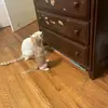 Danny2tuff - @danny.hellenberger12 - TikTok
