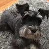 Danielle Ellswort505 - @danielle.ellsworth - TikTok