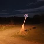 Dan Eriksson - @dan.g.rose - Instagram