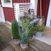 Dan Eriksson - Facebook
