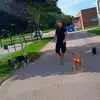 Dan Eriksson - @dan.eriksson4 - TikTok