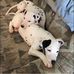 Dan Evenson - Facebook