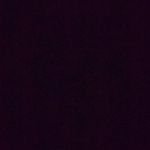 Dan Fallon - @danfellon08 - Instagram