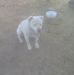 Dan Fessler - Facebook