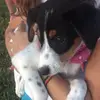 user5438737379921 - @dani.fetzer - TikTok