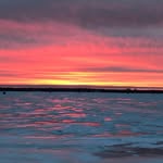 Dan Feyan - @danfeyan - Instagram
