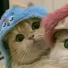 danfey - @cianghua2 - TikTok