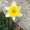 danfeyan1 - @danfeyan1 - TikTok