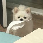 장단 - @dan_field_ - Instagram