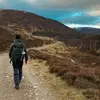 Dan Higgins - @danhiggins470 - TikTok