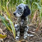 Dan Filbert - @dan.filbert.59 - Instagram