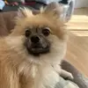 danielfilby840 - @danielfilby840 - TikTok