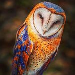 Dan Fillmore - @danfillmore - Instagram