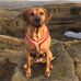 Dan Finlayson - Facebook