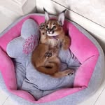 DanFirst - @danfirst4987 - Instagram
