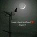 Dani First - Facebook