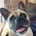 Daniel Fitton - Facebook