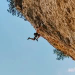 Dan Fitz - @danxfitz - Instagram