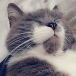 Daniel Flahive - @dan_flahive.07 - Instagram