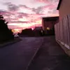 dan - @danfleming7 - TikTok