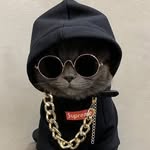 Dan - @danflockaatheone - Instagram