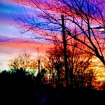 Dan Flocke - @dan.flocke.5 - Instagram