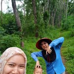 Alam Dan Flora - @alamdanflora - Instagram