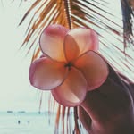 @dan_flowers_love - Instagram