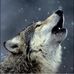 Dan Floyd - Facebook