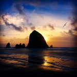Dan Floyd - @strawberryfields64 - Instagram