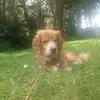 danfloyd67 - @danfloyd67 - TikTok