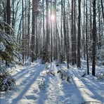Dan Folmer - Facebook