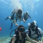 Dan Forman - @danmforman - Instagram