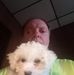 Dan Forsythe - Facebook
