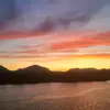 Dan Fox - @mr._foxy78 - TikTok