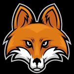 Dan Fox - @danfoxlifehacker - Instagram