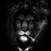 Dan Frankel - Facebook