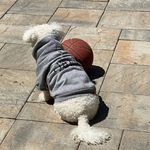 Dan - @danfrancess - Instagram